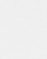 DK61276 18 WHITE by  Duralee 