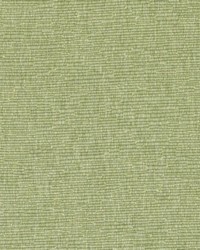 DK61276 303 FERN by  Duralee 