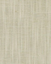 DD61545 564 BAMBOO by  Duralee 