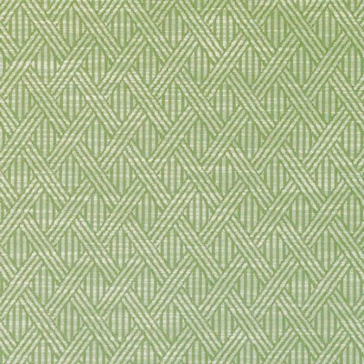 Duralee DI61592 303 FERN in LEMONGRASS-APPLE-SUNSHINE Green Upholstery POLYESTER  Blend