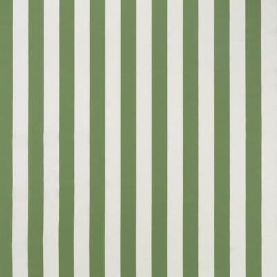 Duralee DW16298 2 GREEN in PAVILION PORTICO STRIPES&SOLID Green Upholstery POLYPROPYLENE  Blend