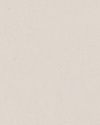 DK61731 148 CAMEO by  Waverly 