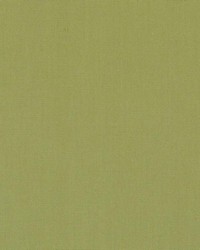 DK61731 213 LIME by  Waverly 