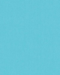 DK61731 260 AQUAMARINE by  Waverly 