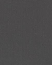 DK61731 296 PEWTER by  Waverly 