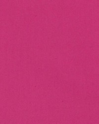 DK61731 299 FUCHSIA by  Waverly 