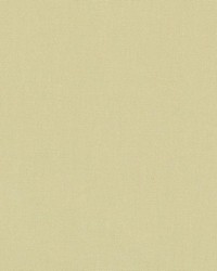 DK61731 343 CACTUS by  Waverly 