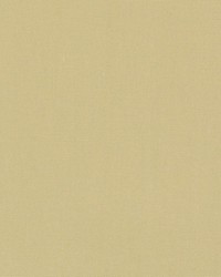 DK61731 534 MALT by  Waverly 