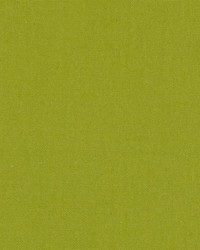 DK61731 579 PERIDOT by  Waverly 