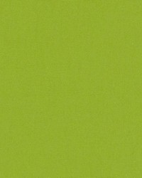 DK61731 609 WASABI by  Waverly 