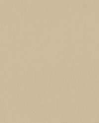 DK61731 667 SEASHELL by  Waverly 