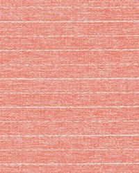 DU16343 31 CORAL by   