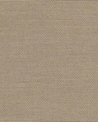 51387 120 Taupe by  Duralee 