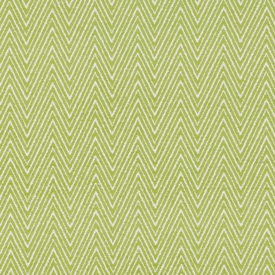 Duralee DW61833 212 APPLE GREEN in HONEYSUCKLE-AVOCADO-FOREST Green Upholstery POLYESTER  Blend