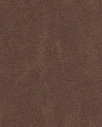 DF16289 10 BROWN by   