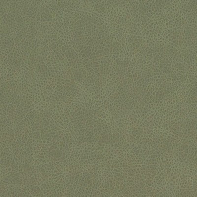 Duralee DF16285 343 CACTUS in FAUX LEATHER STA-KLEEN Green Upholstery POLYURETHANE  Blend