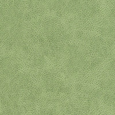 Duralee DF16285 399 PISTACHIO in FAUX LEATHER STA-KLEEN Green Upholstery POLYURETHANE  Blend