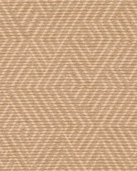 DN16400 124 BLUSH by  Duralee 