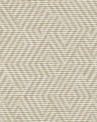 DN16400 220 OATMEAL by  Duralee 