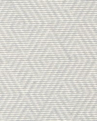 DN16400 248 SILVER by  Duralee 