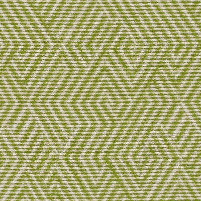 Duralee DN16400 212 APPLE GREEN in QUICK SHIP UPH PATTERNS & TEXT Green Upholstery POLYESTER  Blend