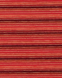 DN16404 33 PERSIMMON by  Duralee 