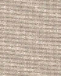 DN16394 434 JUTE by  Duralee 