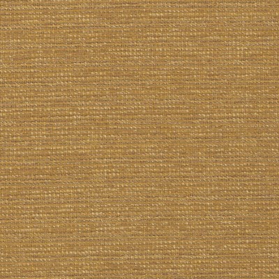 Duralee DN16394 264 GOLDENROD in QUICK SHIP UPH PATTERNS & TEXT Gold Upholstery OLEFIN  Blend