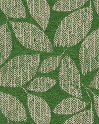 DN16393 575 CLOVER by  Duralee 