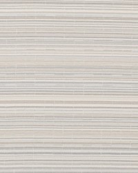 DN16399 248 SILVER by  Duralee 