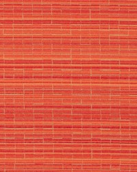 DN16399 33 PERSIMMON by  Duralee 