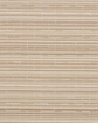 DN16399 88 CHAMPAGNE by  Duralee 