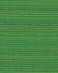 DN16399 575 CLOVER by  Duralee 