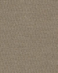 DN16397 417 BURLAP by  Duralee 