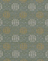 71116 243 Honey Dew by  Duralee 