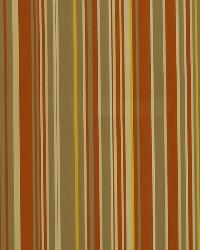 Clean Lines Mandarin by  Robert Allen 