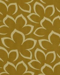 Matisse Floral Cashew by  Robert Allen 