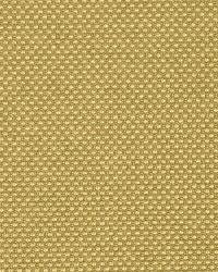 Techno Fashion Bronze by  Robert Allen 