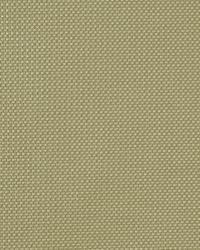 Techno Fashion Platinum by  Robert Allen 