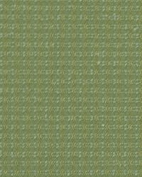 Color Splash Spearmint by  Robert Allen 