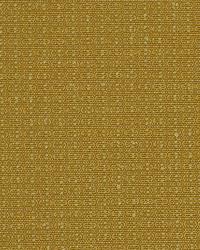 Color Splash Marigold by  Robert Allen 