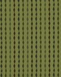 Rinomato Citrus by  Robert Allen 