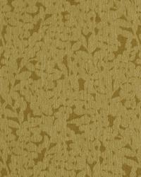 Parsons Woods Marigold by   