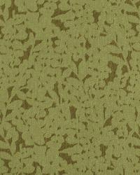 Parsons Woods Reed by   