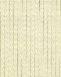 Harris Ivory by  Roth and Tompkins Textiles 