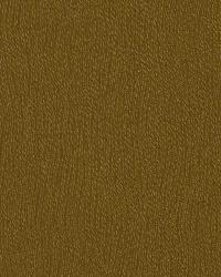 Engraving Ochre by  Robert Allen 