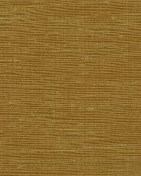 Dali Apricot by  Robert Allen 