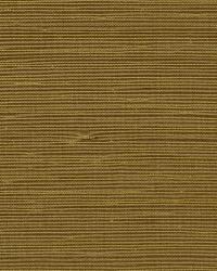 Dali Cane by  Robert Allen 