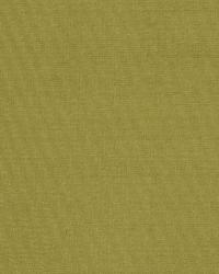 Kalin Leaf by  Robert Allen 