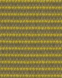 Waffle Boucle Citron by  Robert Allen 